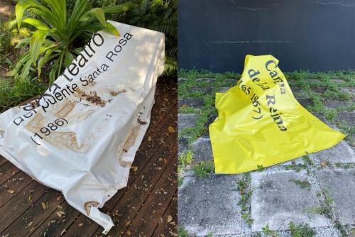 Ernesto-Oroza--carpas