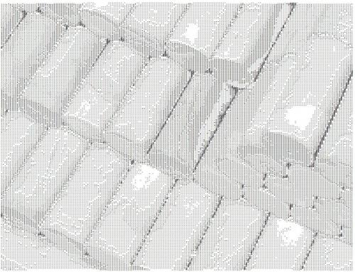 Ernesto-Oroza_museo-popular-concreto_calligramme7